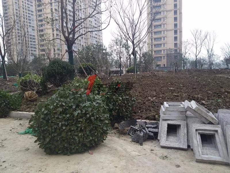 南京禄口翠屏城二居,南京翠屏城的房子值得买吗