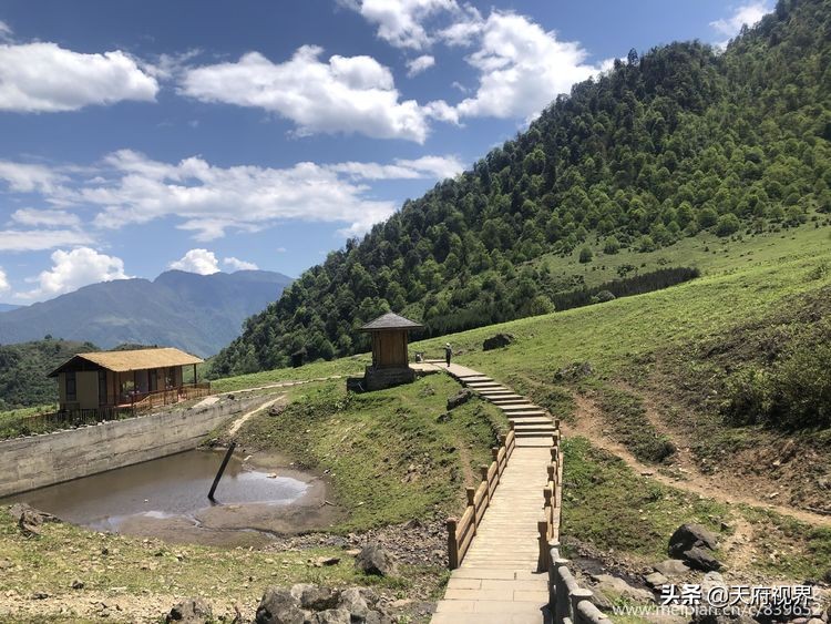 中国百慕大黑竹沟了解一下,穿越黑竹沟揭秘中国百慕大