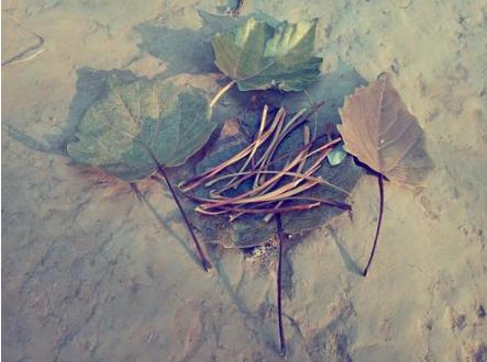 每个天津人，小时候都穿过“大博文”和“双星”……