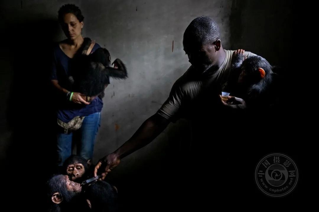 2022索尼世界摄影大赛自然类 (索尼世界摄影大赛自然组作品精选)