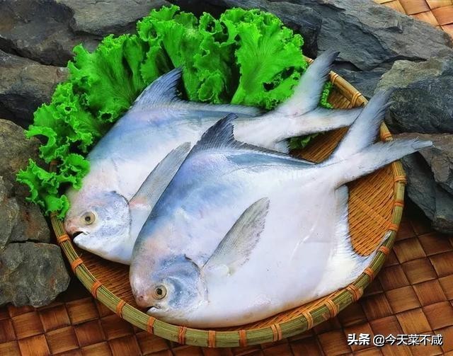 饭店大厨做平鱼最好吃的做法,美食平鱼的制作