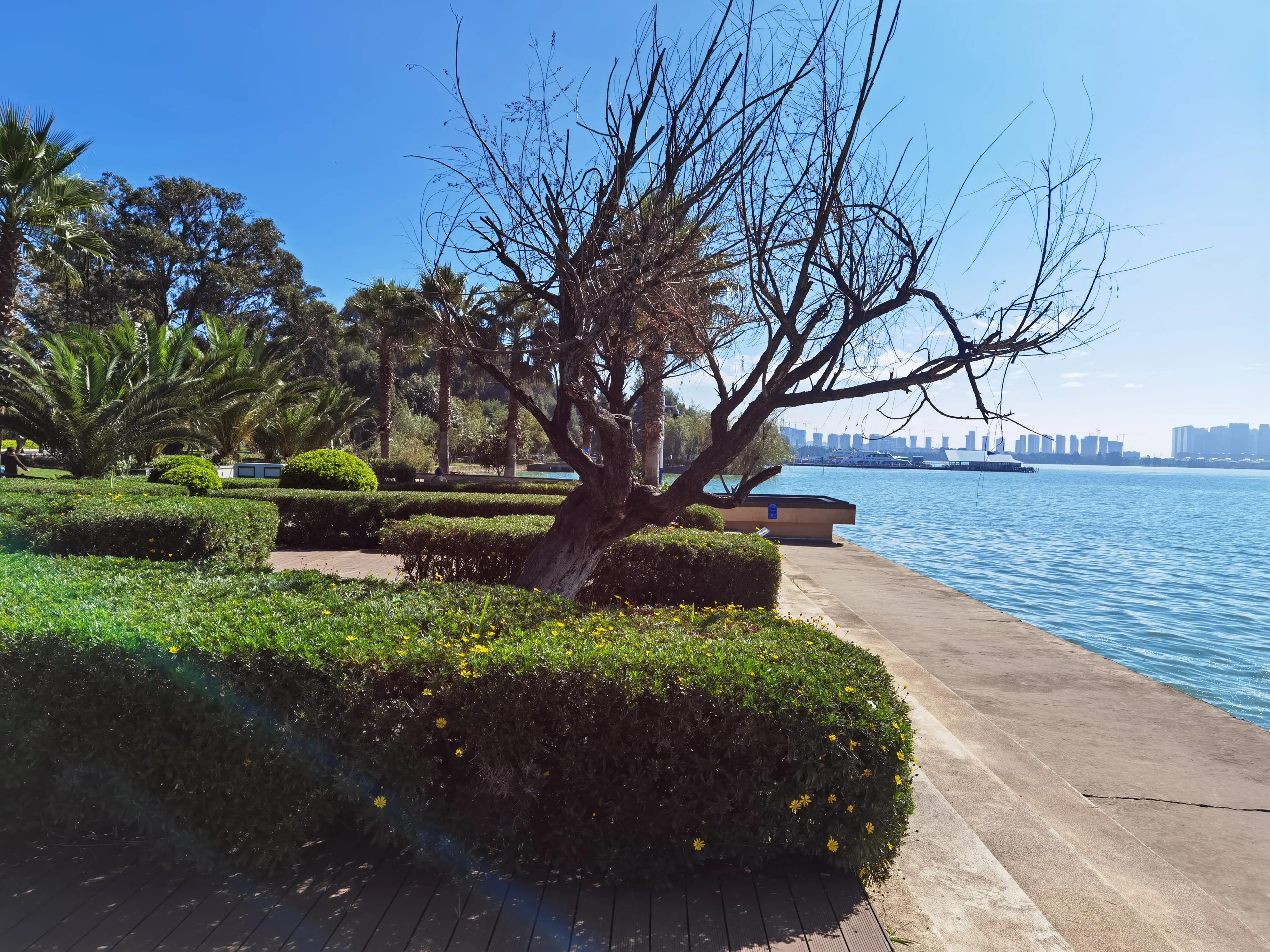 中国女足女超联赛赛程,2023年女足能闯进决赛吗