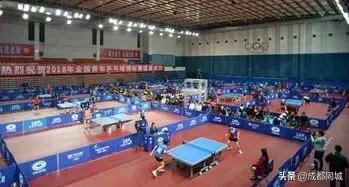 成都运动设施最全的地方,成都免费运动场