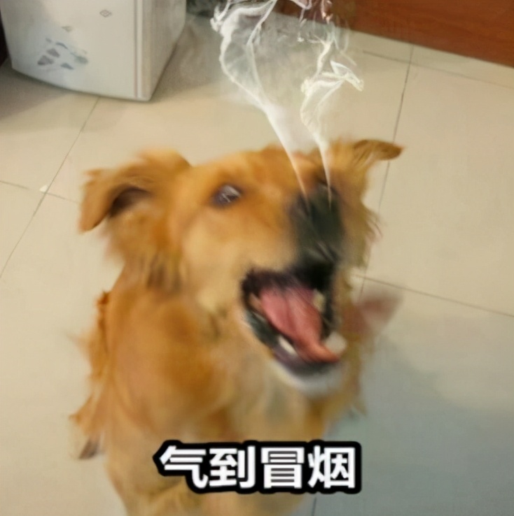 双十二口红优惠券,mac口红99元任性抢