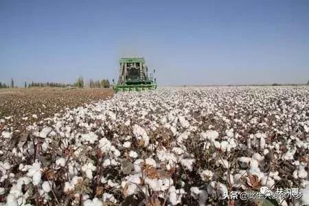 我的家乡，欢迎您来到扶沟！