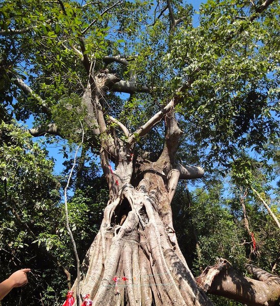 海滩怪石古渔村，名气不及三亚，但现在却越来越多东北人在此定居