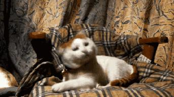 英国首相的出轨事件,英国首相几次婚姻