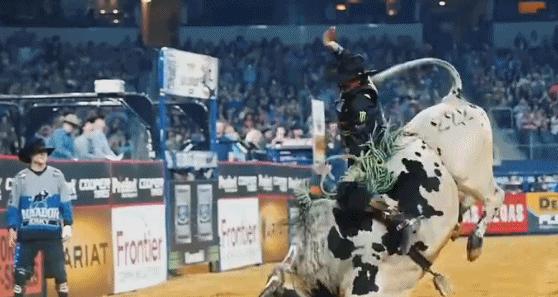 出门遇到这“街头流氓”,我劝你快逃