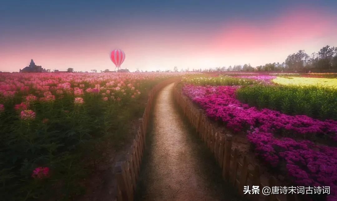 许你一个最美的金秋,许你一个诗意的四季