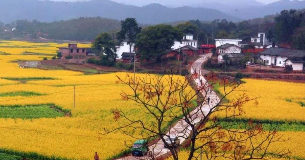 江西上饶戏剧,上饶市有名的县