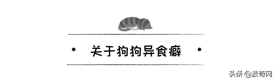 不喂狗会复位吗,不喂狗的下场