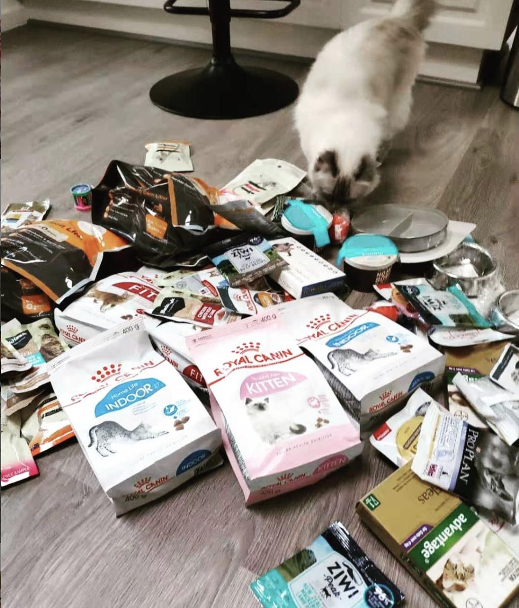 100种猫粮配方大全,10大品牌猫粮