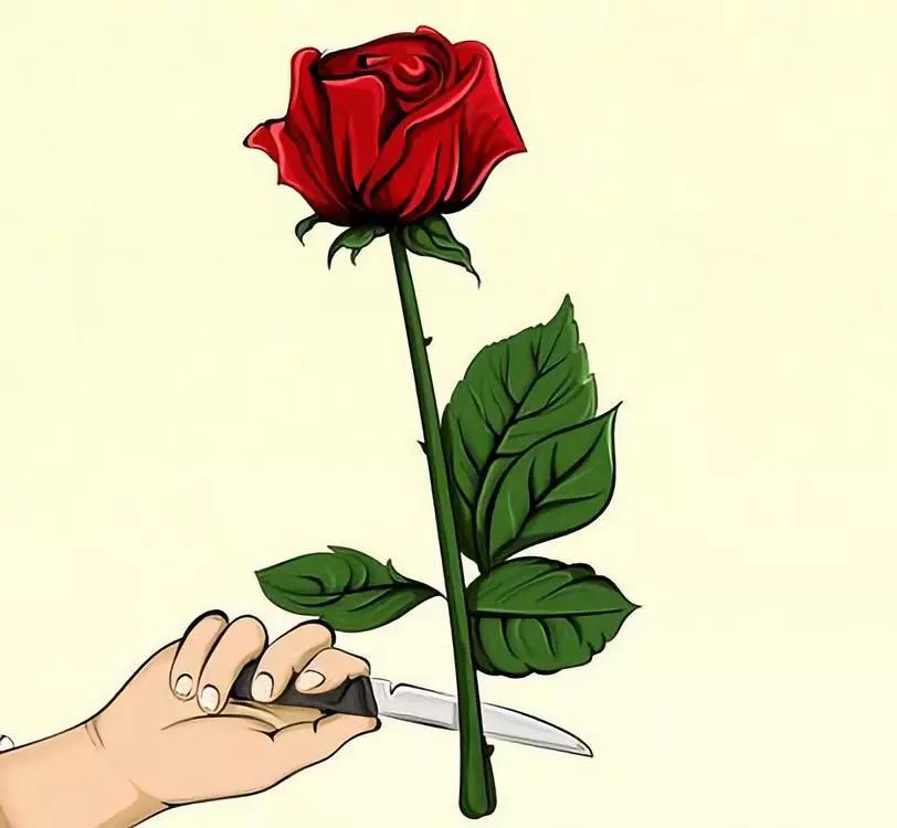 有颜色的玫瑰是怎么做出来的,白玫瑰怎么做七彩玫瑰