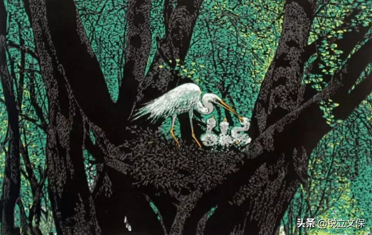 鲁迅一生都有哪些爱好,鲁迅的爱好及他与家人的故事