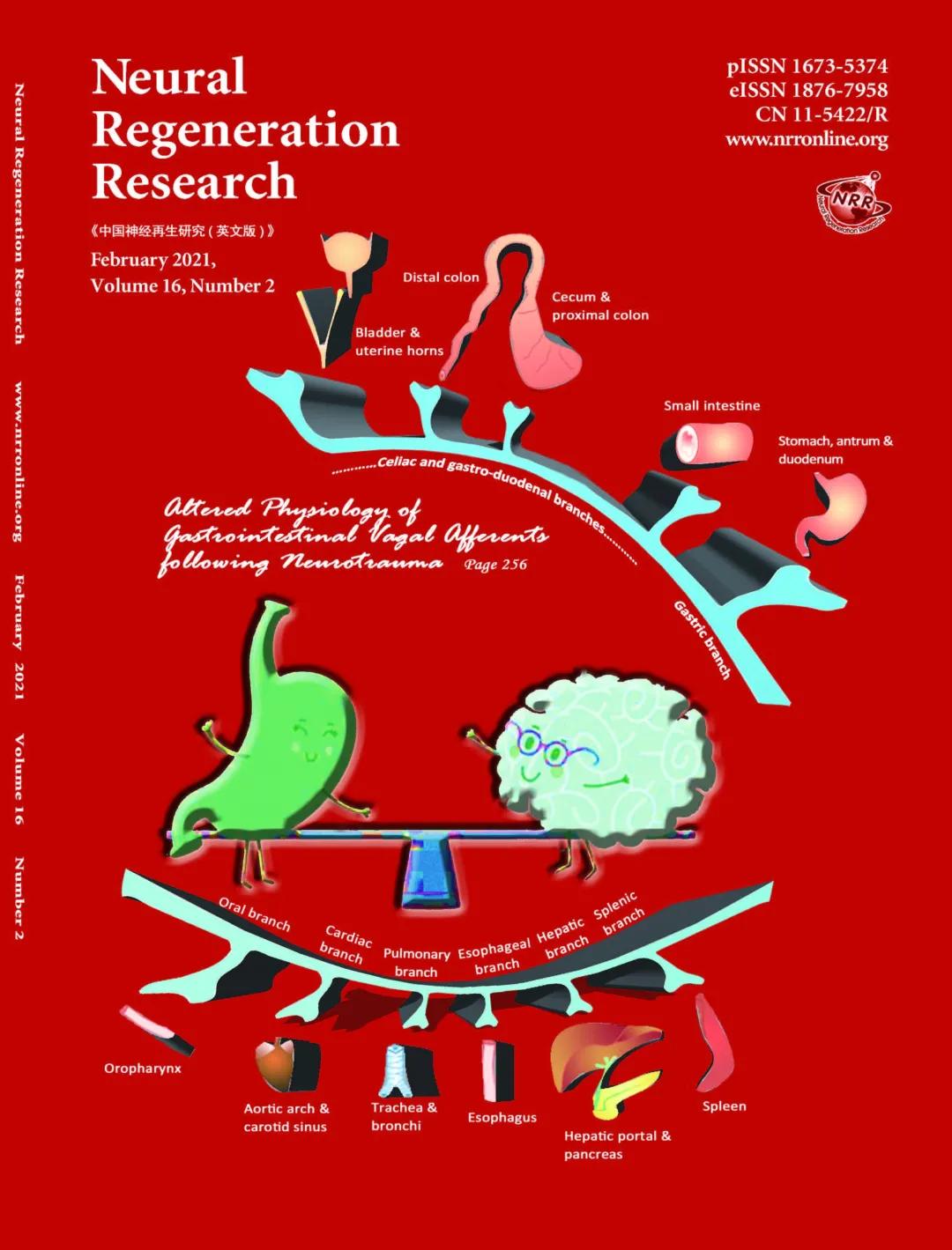 中国神经再生研究英文版审稿速度,中国神经再生研究杂志