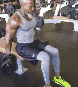 一副哑铃练遍全身肌肉新手,哑铃锻炼全身肌肉视频