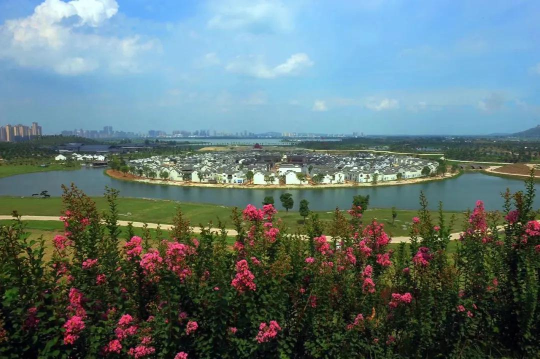 引爆旅游市场！奥体旁将打造蚌埠不夜城！新添古树苑文旅中心