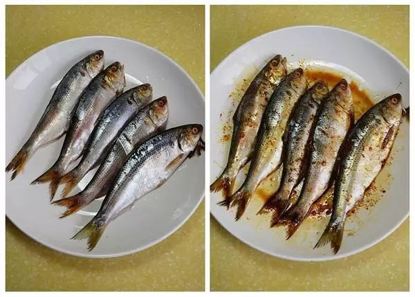 秦皇岛海鲜攻略,秦皇岛淡季海鲜攻略