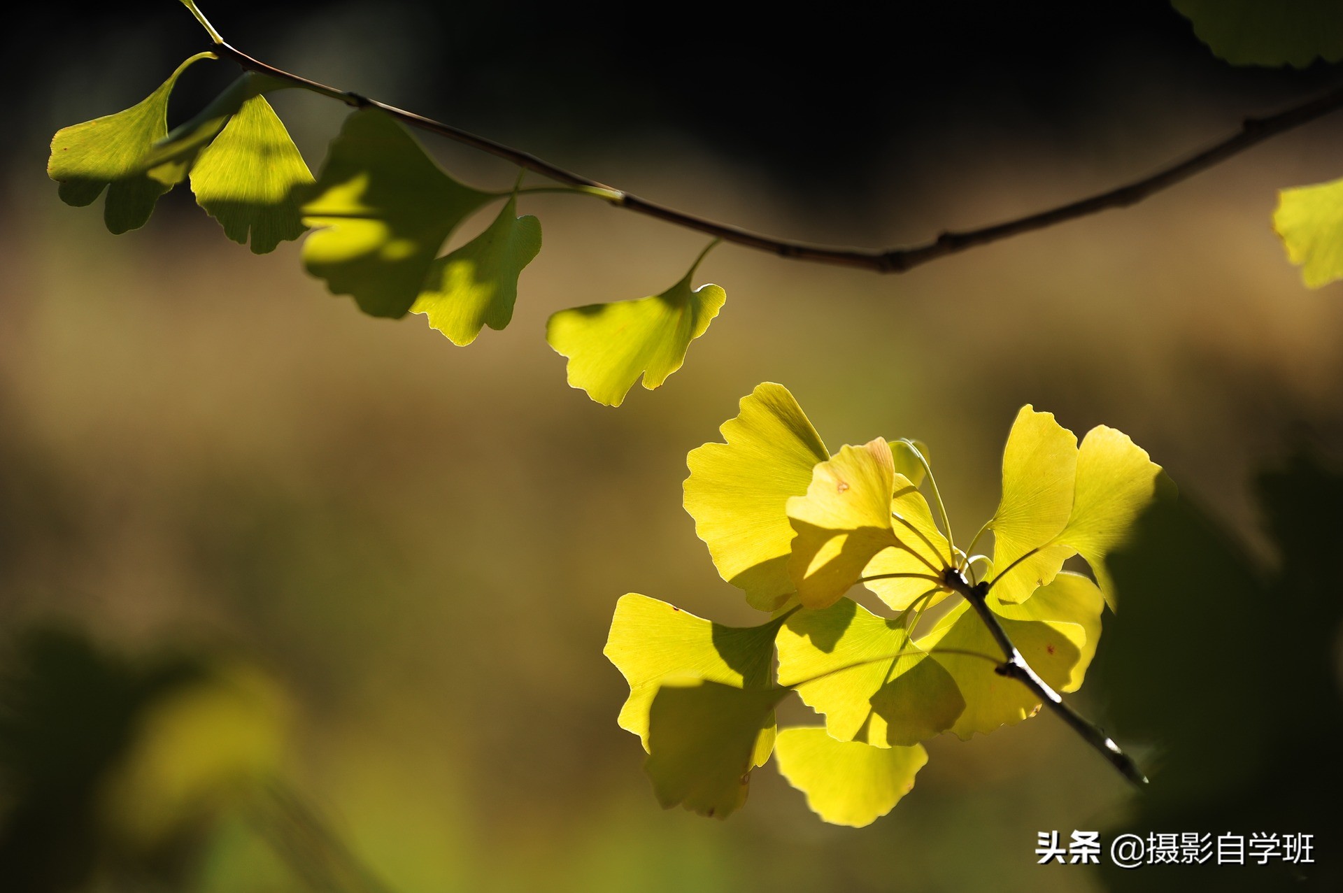 学摄影必须掌握的5种色彩搭配,色彩搭配技巧之摄影后期