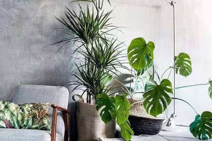 阿里巴巴每平每屋,阿里巴巴每平每屋实体店