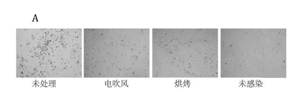 终于买到N95口罩！这操作也太强了吧