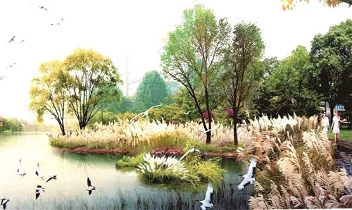 好消息不断传来,好消息鼓舞人心