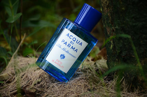 帕尔马小众香水,帕尔马地中海香水哪款比较好闻