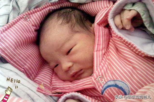 猪宝宝忌讳什么父母,猪宝宝真是享福的命