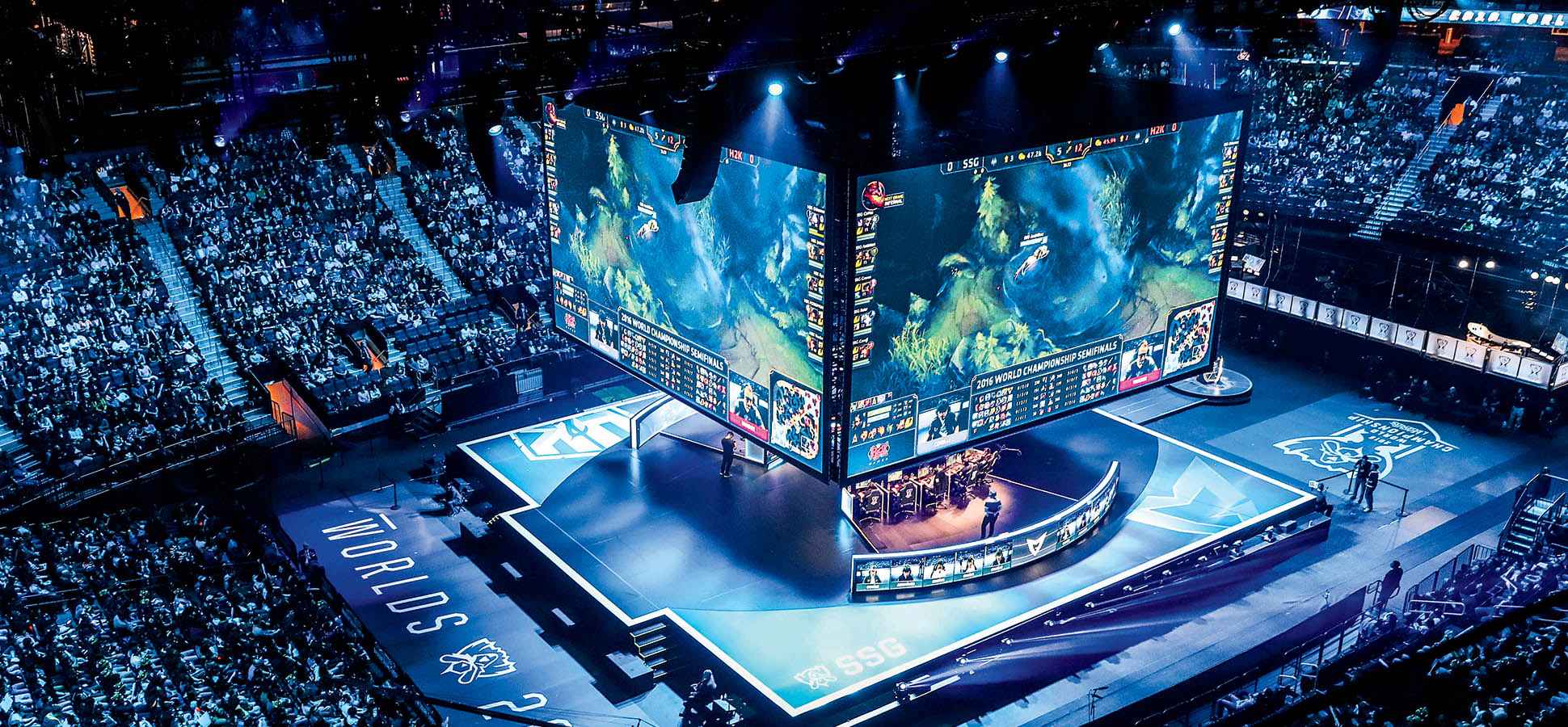 王思聪万恶的资本主义,王思聪泥潭捕猪