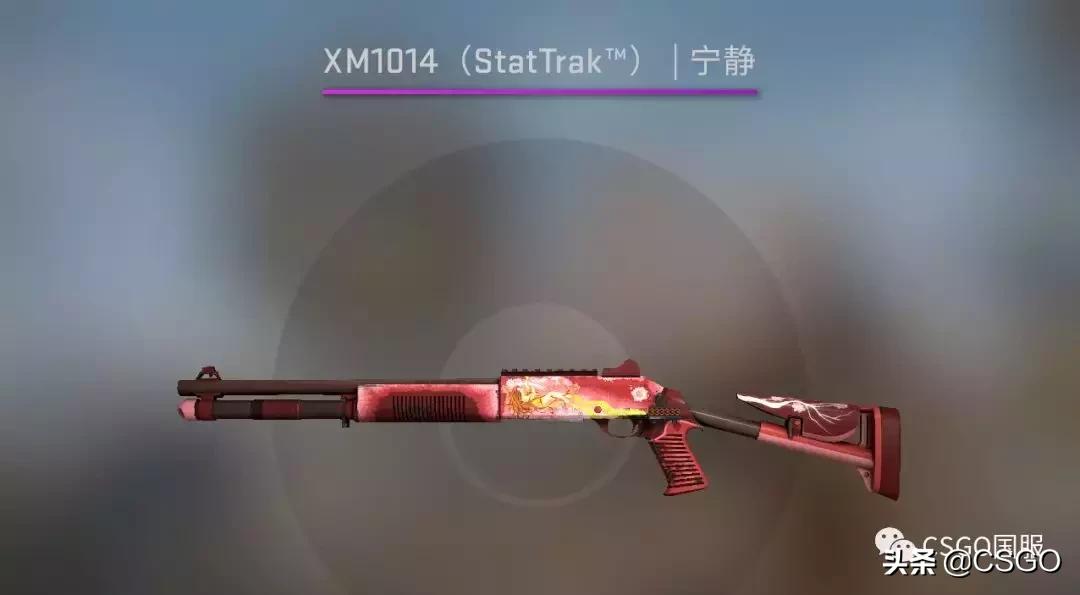 「皮肤控」第43期：荒野反叛，把头打烂！先锋大行动*器武**箱介绍