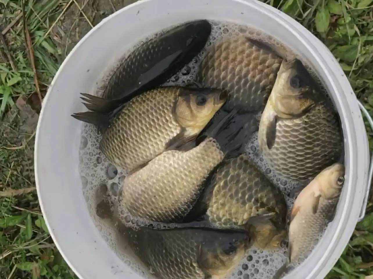 钓鱼用粗线大钩的缺点,大钩粗子线钓鱼效果好吗