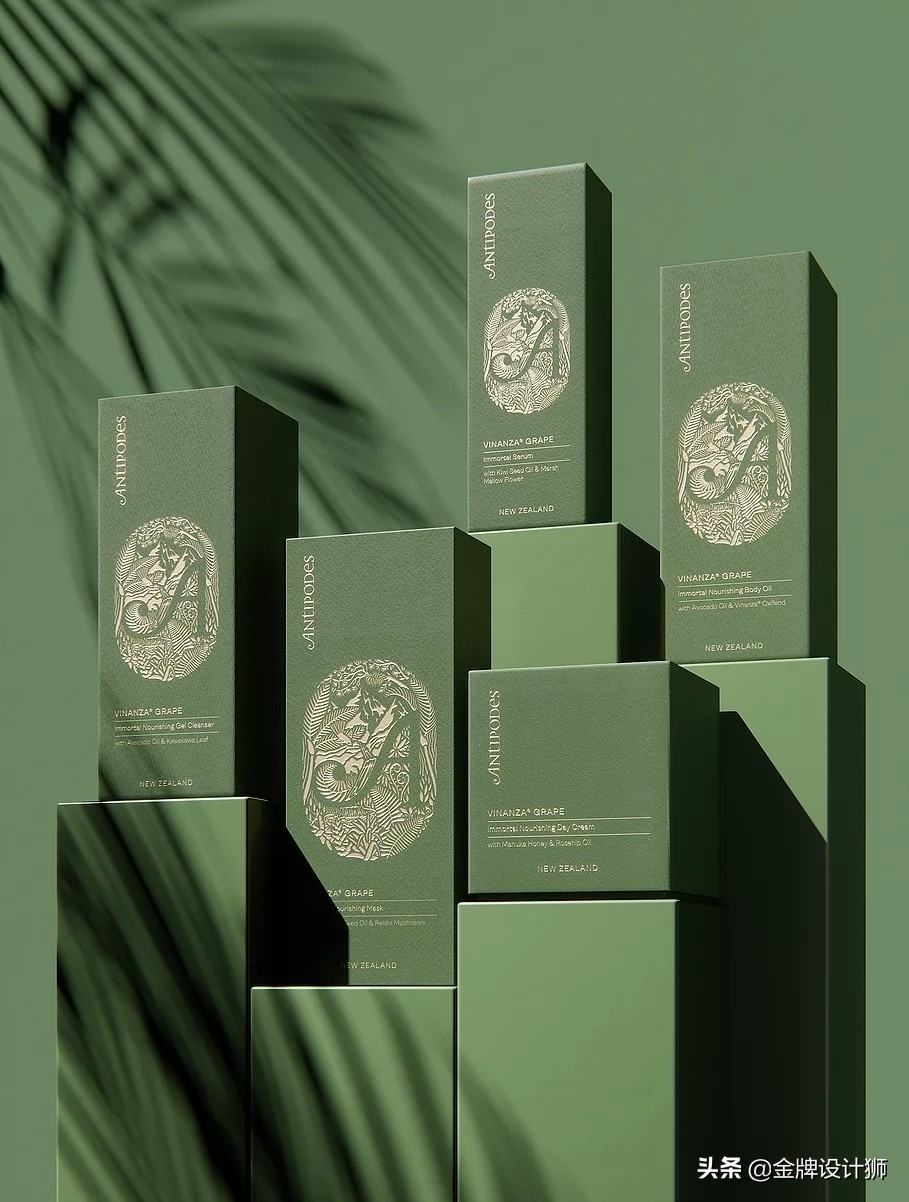 包装ai设计样板,包装设计ai素材