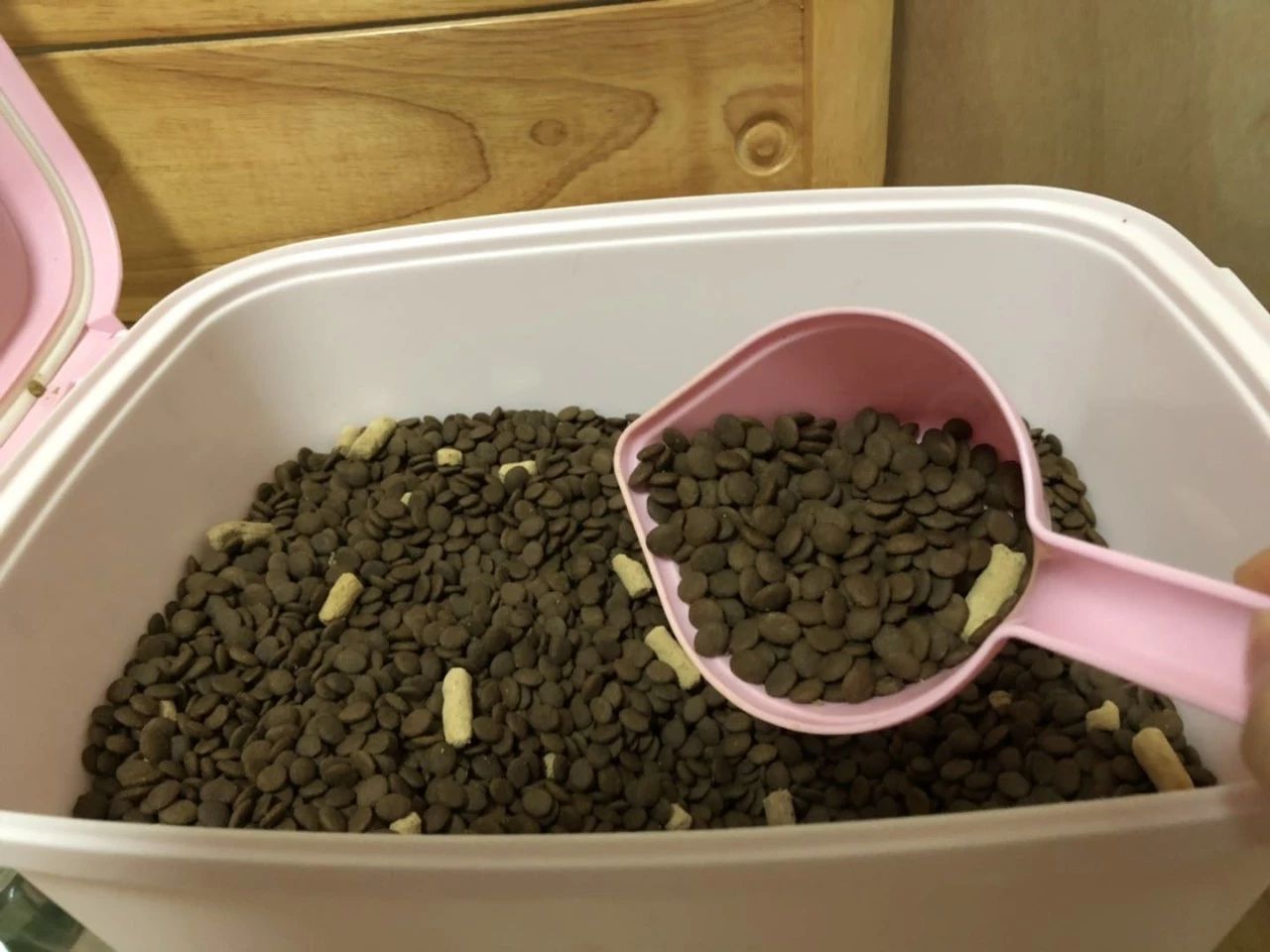 猫龄十年突然不吃猫粮,我家猫突然不爱吃鱼了