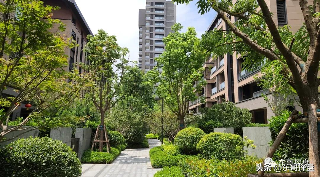 不输北龙湖顶豪,白沙已交付社区的NO.1到底长什么样?