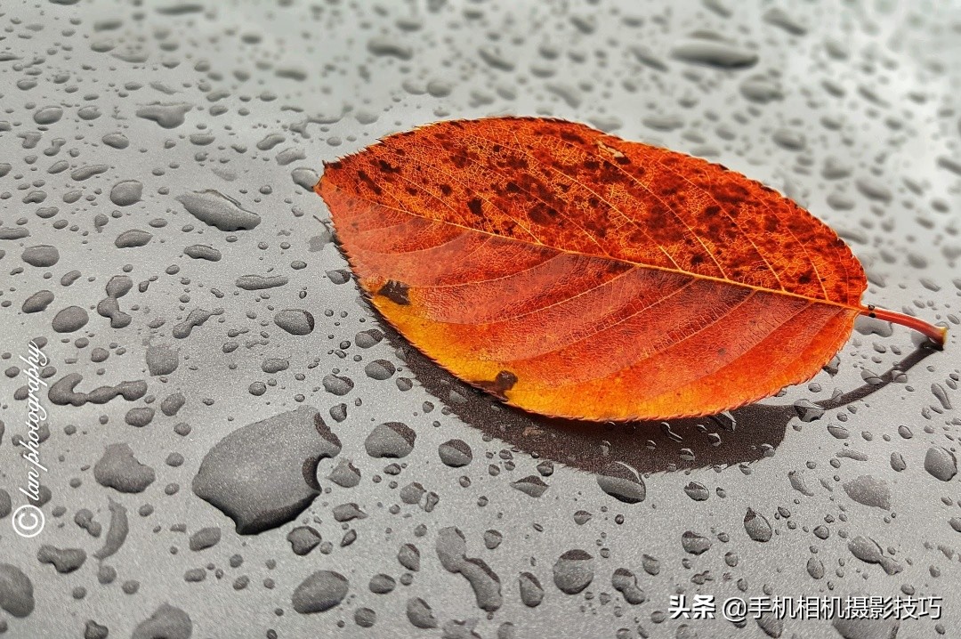 喜欢摄影的人眼里随处都是美景,爱摄影的人诗句