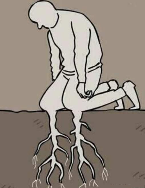 美国啥都好？新华锐评：崇美、跪美的“软骨病”得治