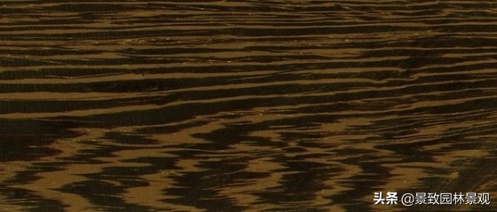 木纹最好看的木材图片,各种木材纹理图片与名称
