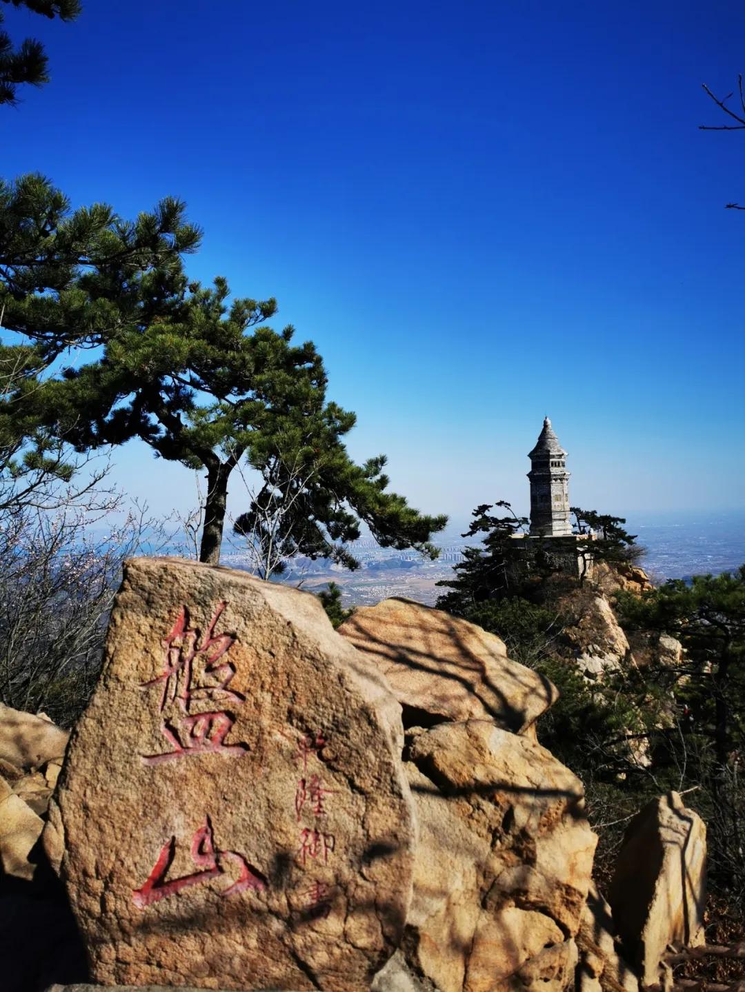 一个不出郑州的踏青好去处,天津春游公园推荐