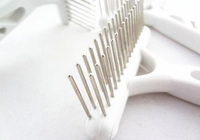 8个月的金毛掉毛严重怎么办,金毛掉毛起皮屑是怎么回事