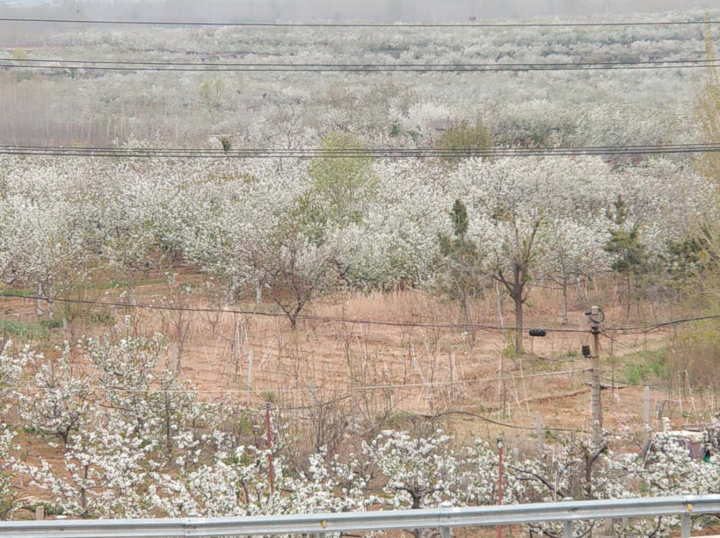 大美徂徕山,徂徕山美景如画