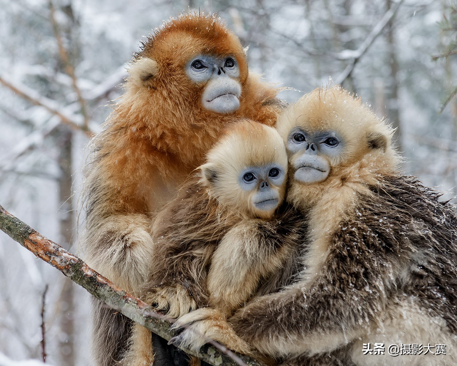 有你吗原版答案,有你吗视频完整版