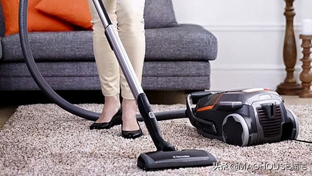 幼猫身上有跳蚤能把毛都剃了吗,幼猫有跳蚤放房间会怎样