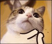 游戏攻略tips第十八期：《天下》PVE高等级玩法，专服称霸69级