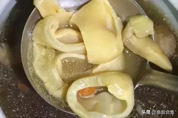 深海鱼胶的功效及吃法,赤鱼胶的功效及吃法