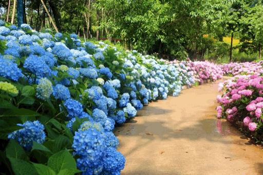 游茅山,金坛茅山风景区旅游攻略