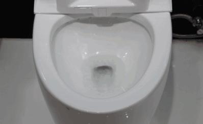 家里哪些东西对猫有危险,对猫咪有害的日常用品