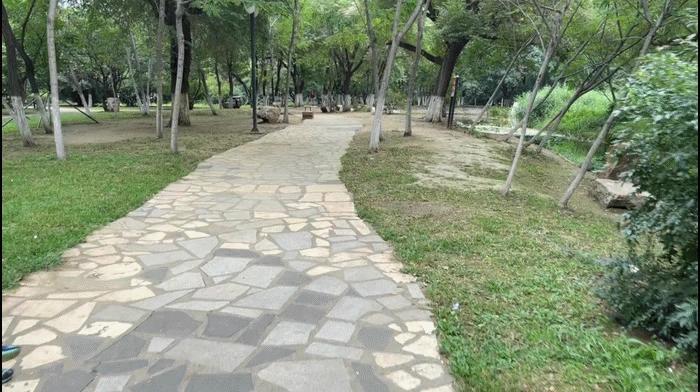 自动开合，三轴一体便携无压力-SNOPPA随拍ATOM2自动折叠手机云台