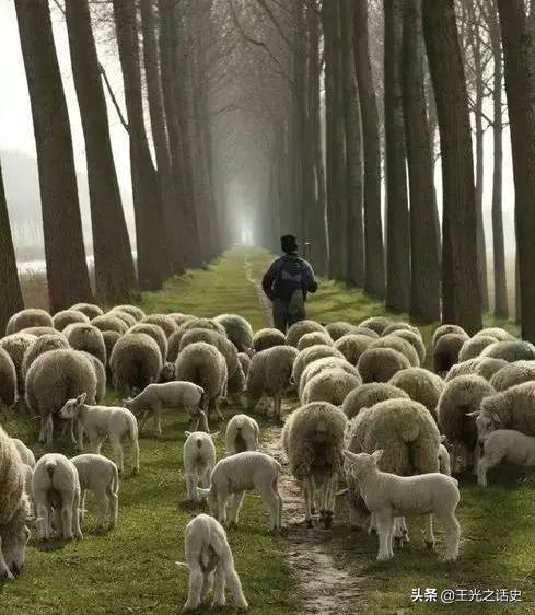 新西兰是地球最后的净土吗,新西兰十大未解之谜