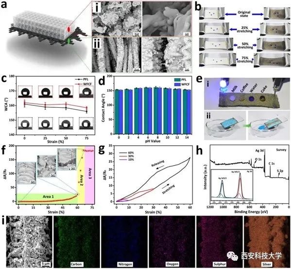 重磅,西科新成果登上《CEJ》!可穿在身上的“发电机”,太赞了