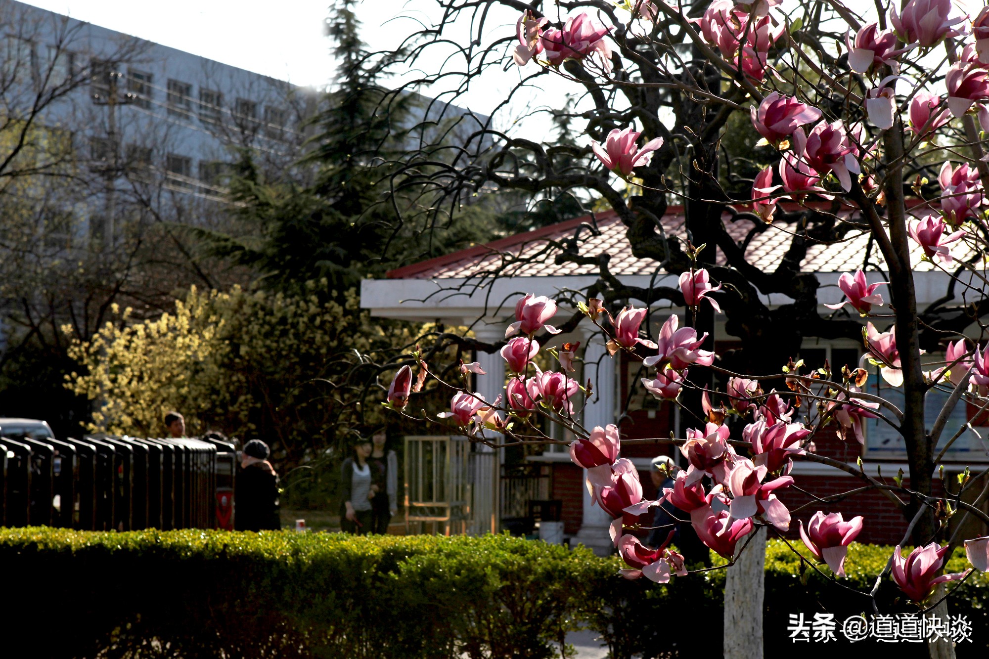 总工会职业技术学校怎么样,全国总工会管理的学校是211吗